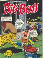 Couverture cvf_aredit_big_boss_2_20
