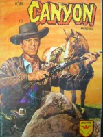 Couverture cvf_aredit_canyon_10