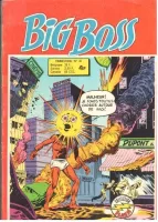 Couverture cvf_aredit_big_boss_2_31