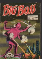 Couverture cvf_aredit_big_boss_2_13
