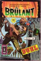Couverture cvf_aredit_brulant_2_13