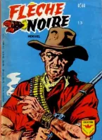Couverture cvf_aredit_fleche_noire_13