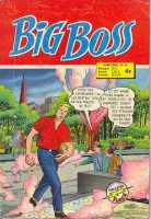 Couverture cvf_aredit_big_boss_2_34