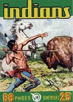 Couverture cvf_imperia_indians_14