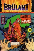 Couverture cvf_aredit_brulant_2_15