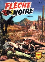 Couverture cvf_aredit_fleche_noire_27