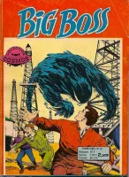 Couverture cvf_aredit_big_boss_2_29