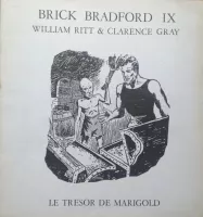 Couverture cvf_rtp_brick_bradford_09