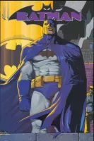 Couverture cvf_panini_batman_kiosque_09_tl
