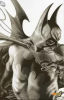Couverture cvf_panini_superman_batman_13_tl
